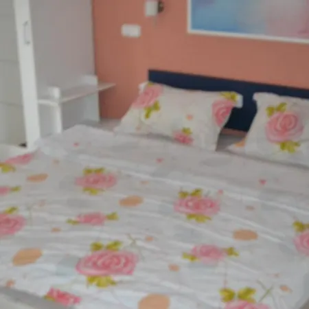 Edward Apartment
