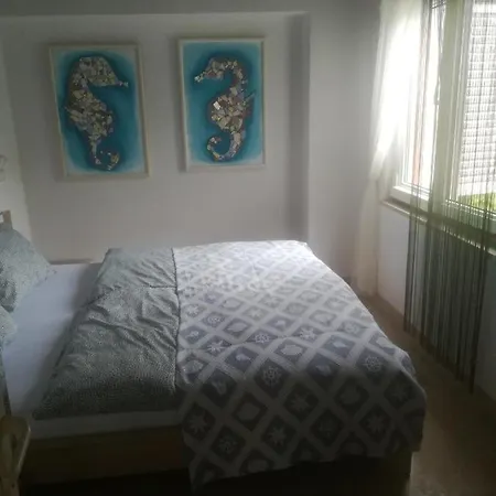Apartment Edward Premantura
